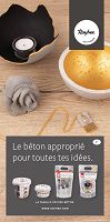 Odoo • une photo avec une légende