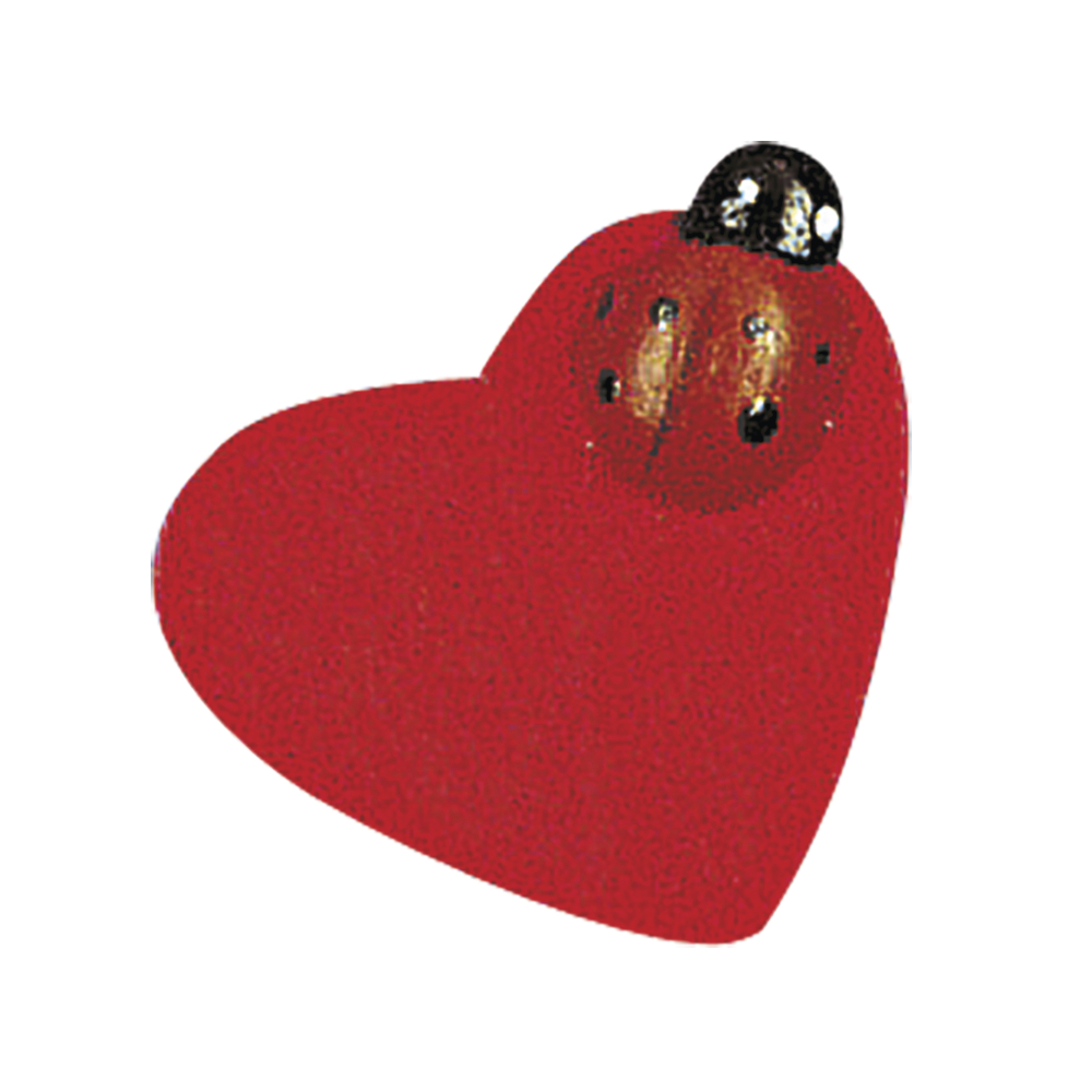 Coeur avec coccinelle